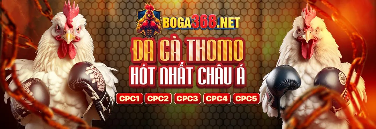 Các môn thể thao phổ biến tại 3king casino