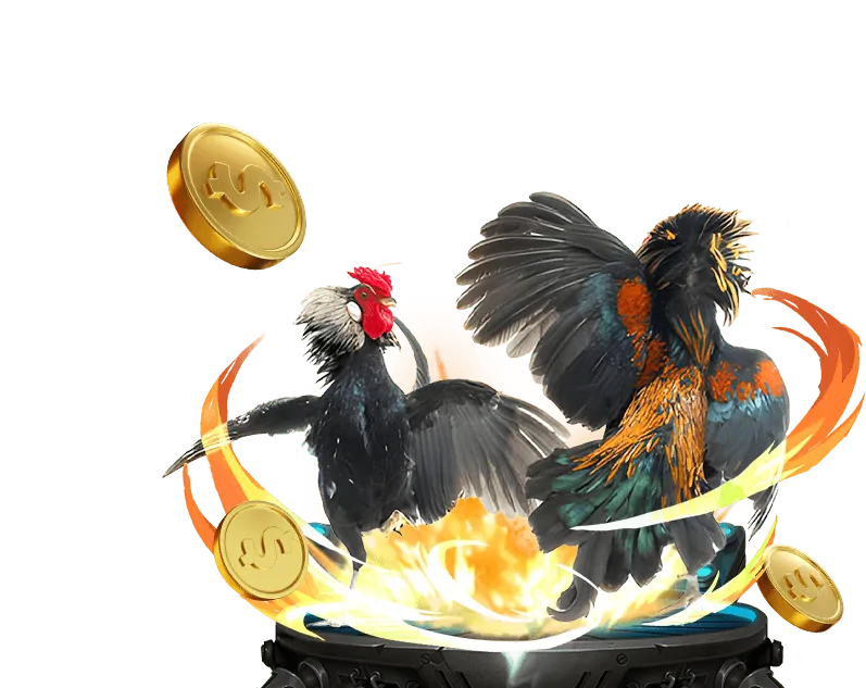 Chương trình hoàn trả